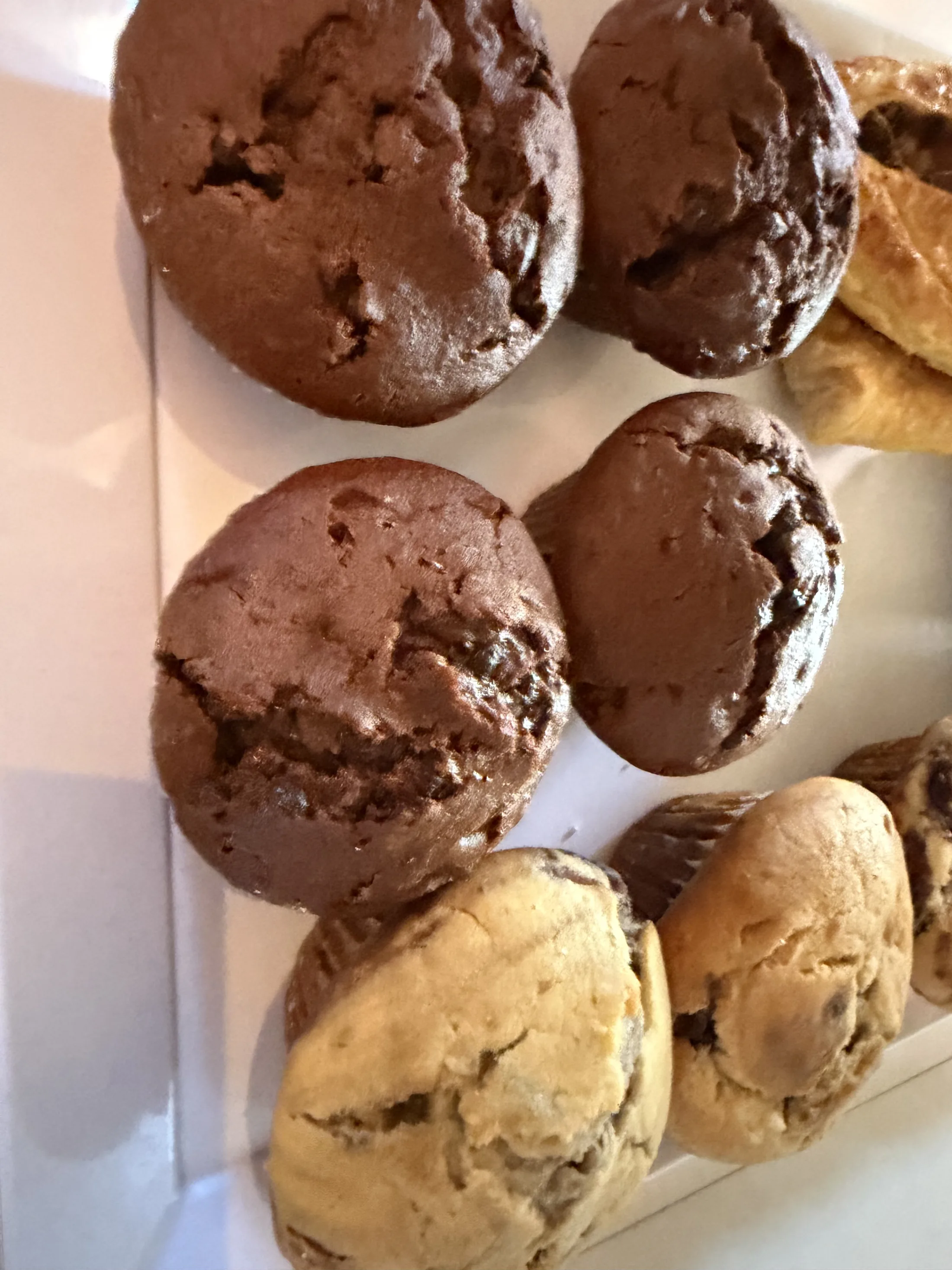 Choc & Blueberry Muffin — Kipling's Bakery, Port Wakefield